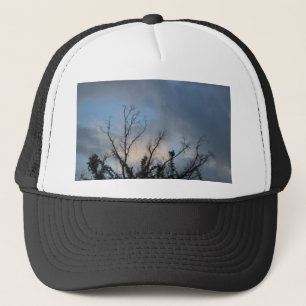 Cloudy SunSet Tree #2 Trucker Hat