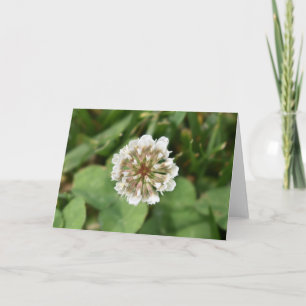 Clover Card