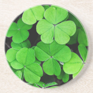 Clover Coaster
