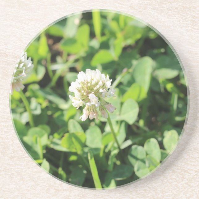 Clover & Flowers Pt 2 Coaster (Front)
