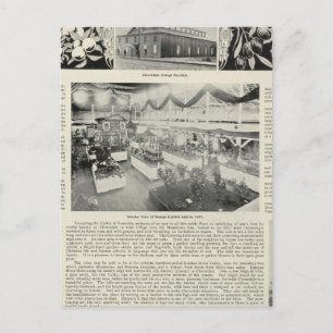 Cloverdale, California Postcard