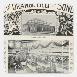 Cloverdale, California Square Sticker