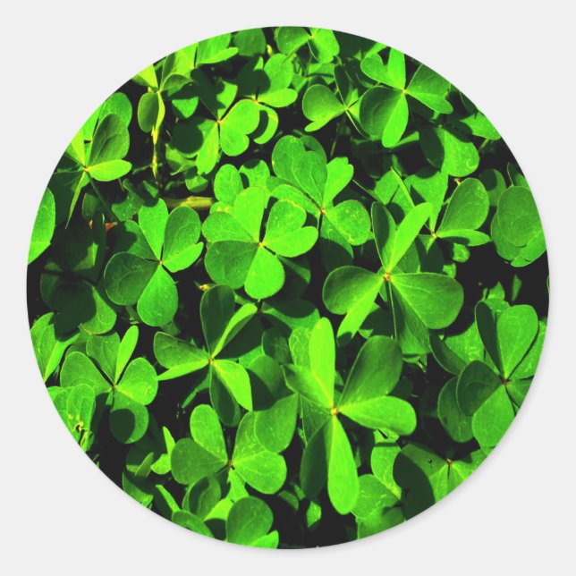 Clovers of Luck on St. Patrick's Day Classic Round Sticker (Front)