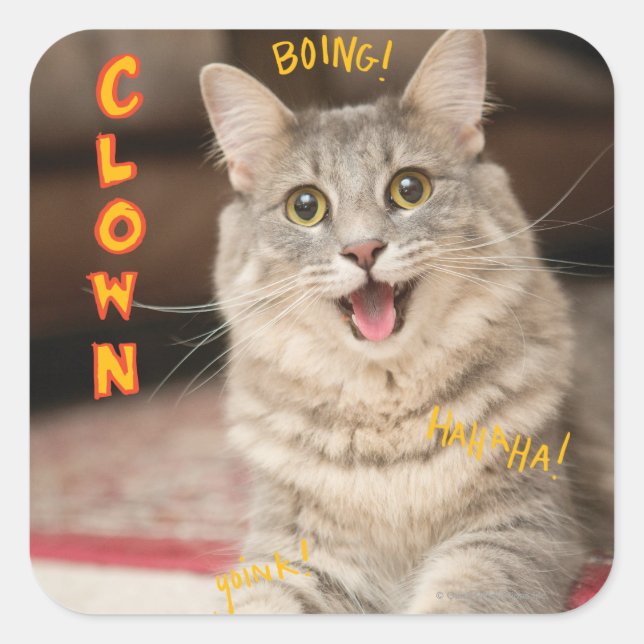 Clown Cat Square Sticker (Front)