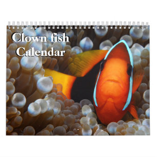Clown Fish 2026 Calendar