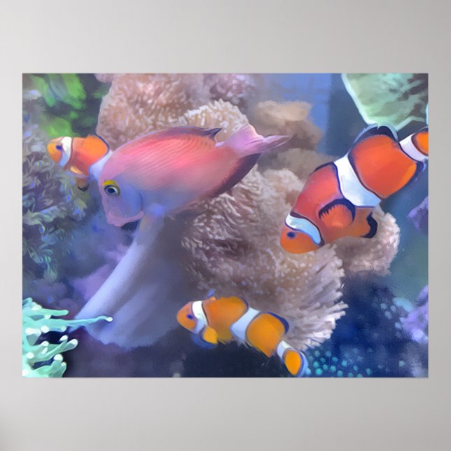 Clown Fish Aquarium Poster (Front)