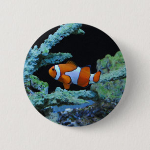 Clown Fish in Coral 6 Cm Round Badge
