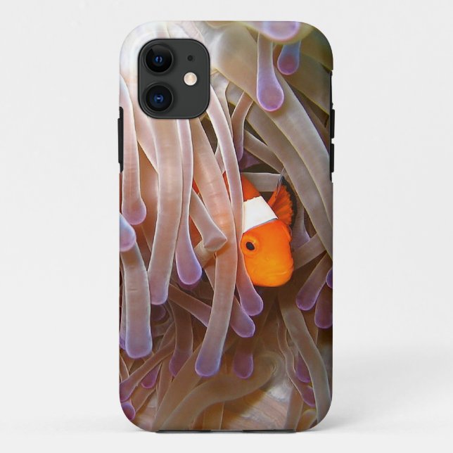 Clown Fish iPhone 5 Cover (Back)