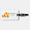 Clown Fish Luggage Tag