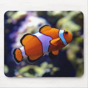 clown fish mouse pad