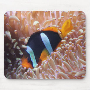 Clown Fish Mouse Pad