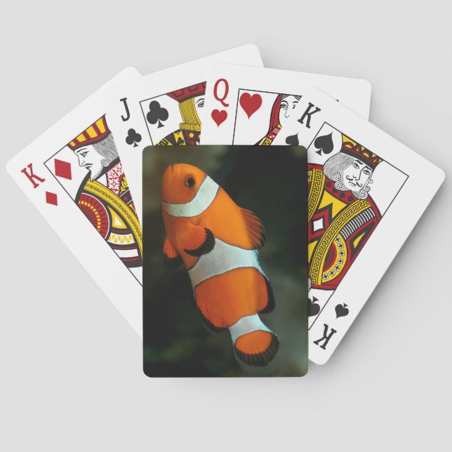 Clown Fish Playing Cards (Back)