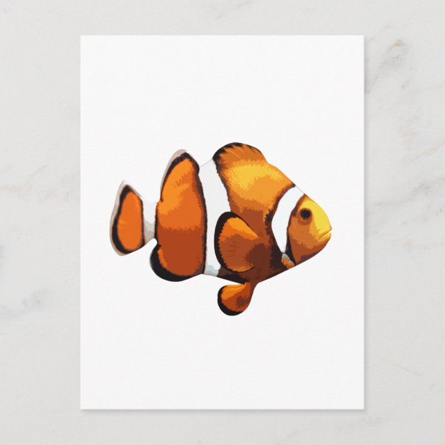 Clown fish postcard (Front)