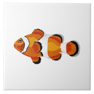 Clown fish tile