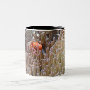 clown fish Two-Tone coffee mug