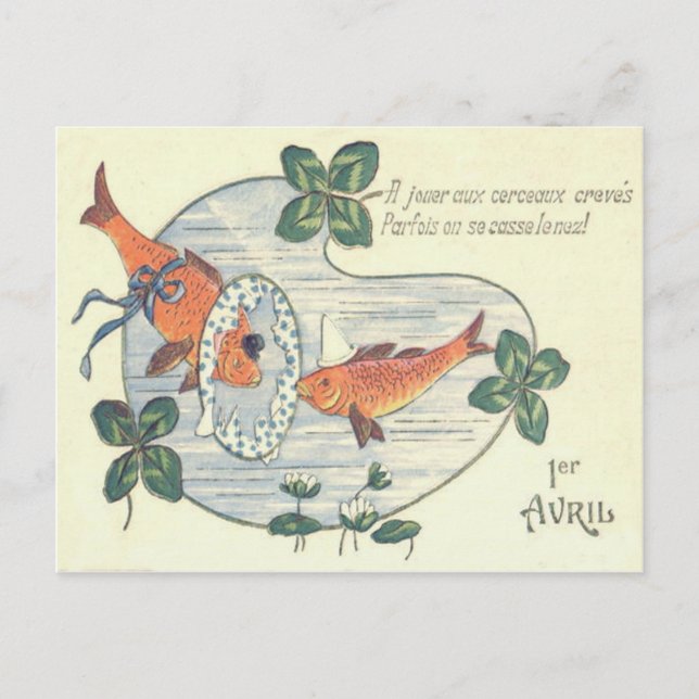 Clown Fish Water Lily Postcard (Front)