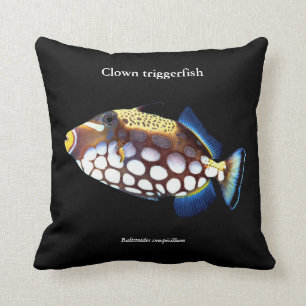Clown triggerfish , Balistoides conspicillum Cushion