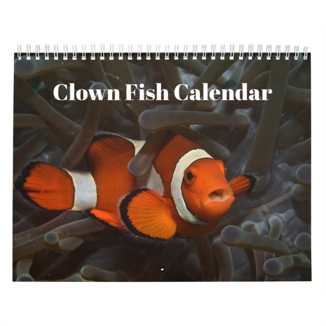 Clownfish 2026 calendar (Cover)