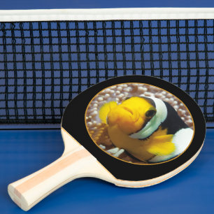 Clownfish - Close-Up! Round Photographic Design    Ping Pong Paddle