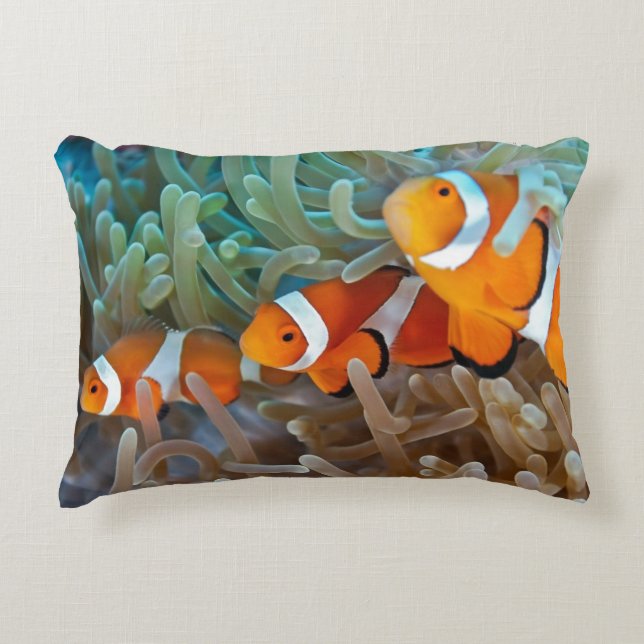 Clownfish Decorative Cushion (Front)