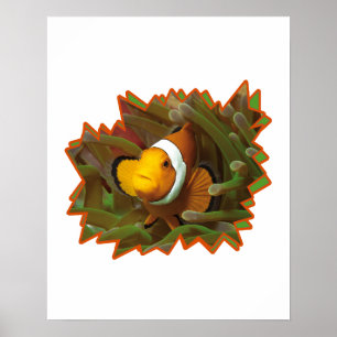 Clownfish in Anemone * Starburst Photo Design    Poster