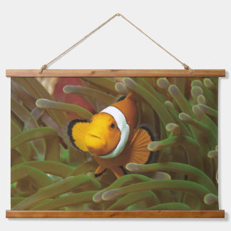 Clownfish in green anemone. Coralreef Raja Ampat | Hanging Tapestry