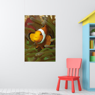 Clownfish in green anemone. Coralreef Raja Ampat | Poster