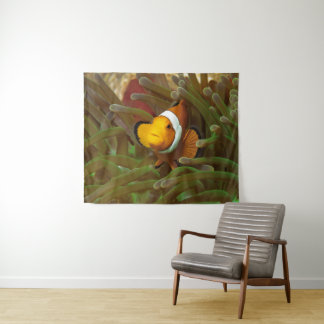 Clownfish in green anemone. Coralreef Raja Ampat | Tapestry