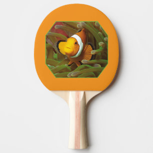 Clownfish in green anemone. Photographic Design    Ping Pong Paddle
