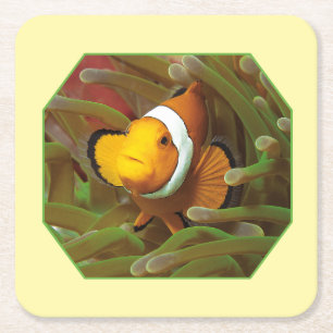 Clownfish in green anemone. Photographic Design    Square Paper Coaster
