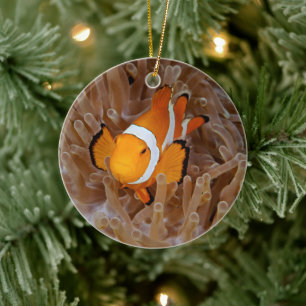 Clownfish - Molokai, North Shore Cliff Ceramic Tree Decoration