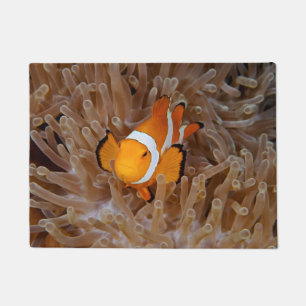 Clownfish - Molokai, North Shore Cliff Doormat
