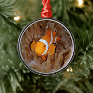 Clownfish - Molokai, North Shore Cliff Metal Tree Decoration