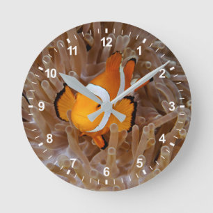 Clownfish - Molokai, North Shore Cliff Round Clock
