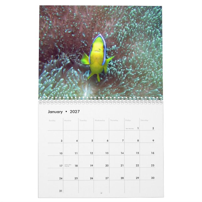 Clownfish of Fiji 2015 Calender Calendar (Jan 2027)
