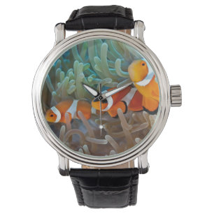 Clownfish Watch
