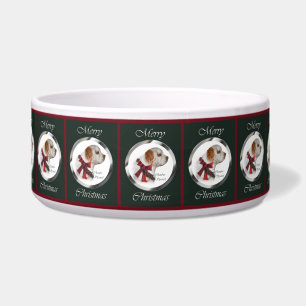 Clumber Spaniel Christmas Dog Bowl