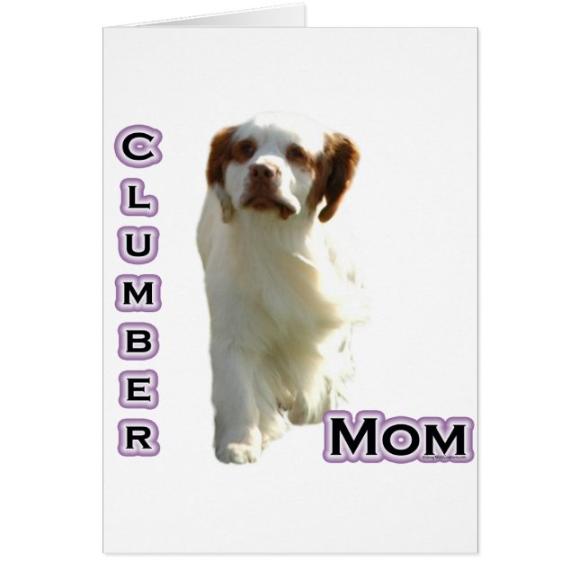 Clumber Spaniel Dad 4 (Front)