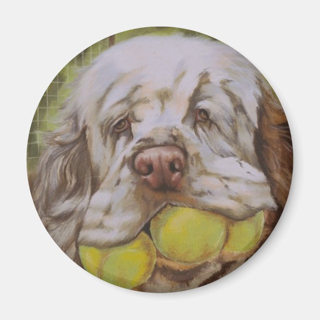 Clumber Spaniel Magnet (Front)