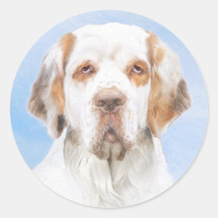 Clumber Spaniel Painting - Cute Original Dog Art Classic Round Sticker