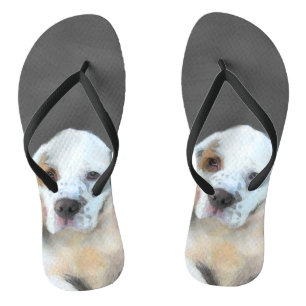 Clumber Spaniel Painting - Cute Original Dog Art Jandals