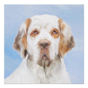 Clumber Spaniel Painting - Cute Original Dog Art Poster