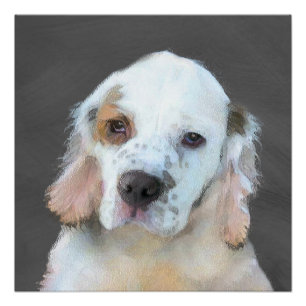 Clumber Spaniel Painting - Cute Original Dog Art Poster