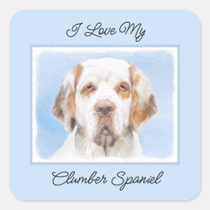 Clumber Spaniel Painting - Cute Original Dog Art Square Sticker