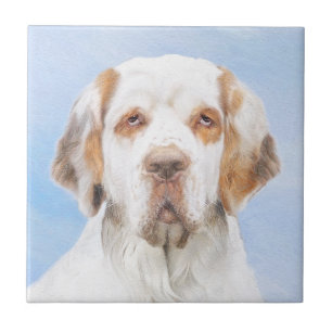 Clumber Spaniel Painting - Cute Original Dog Art Tile