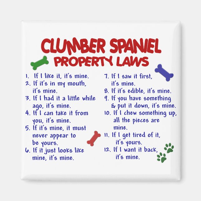 CLUMBER SPANIEL Property Laws 2 Magnet (Front)
