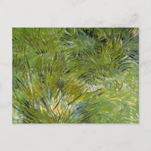 Clumps of Grass by Vincent van Gogh Postcard