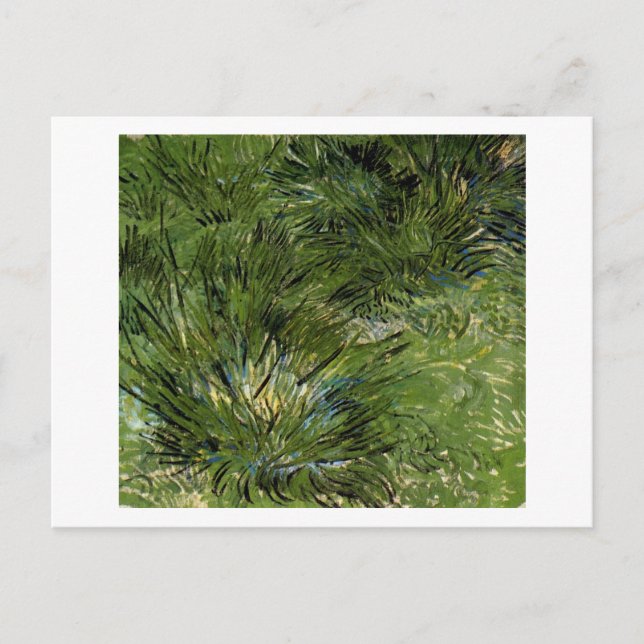 Clumps of Grass, Vincent van Gogh Postcard (Front)