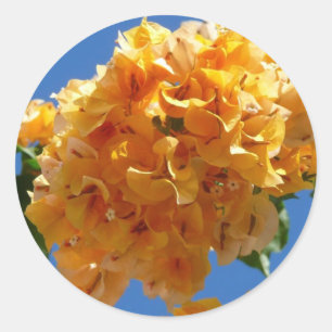 Cluster of Golden Bougainvillea Floral Classic Round Sticker