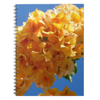Cluster of Golden Bougainvillea Floral Notebook